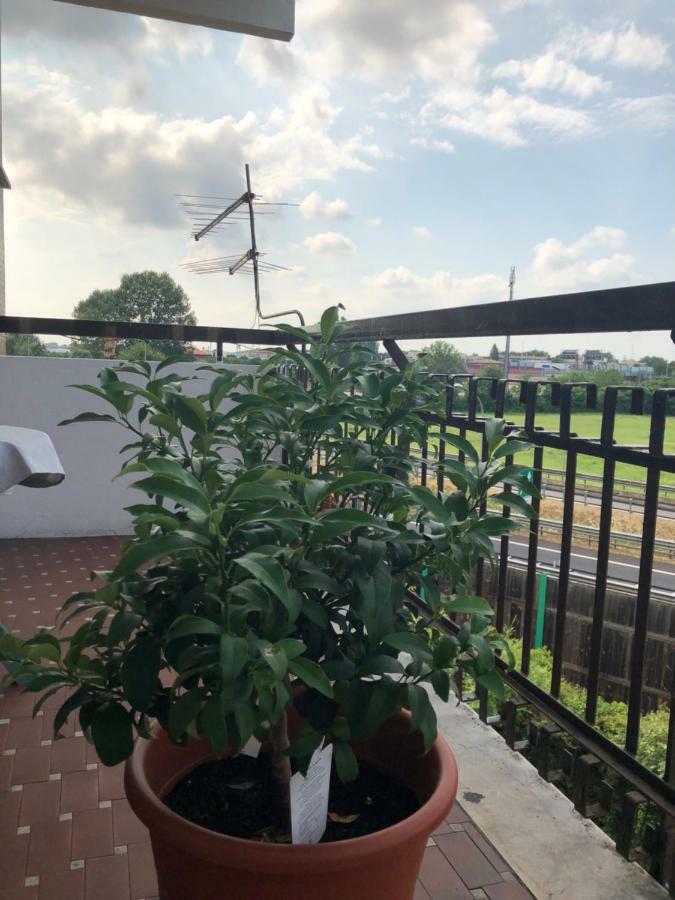 Venice H.S.Garden Marghera Exterior photo